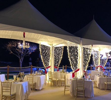 Descripción de la imagen