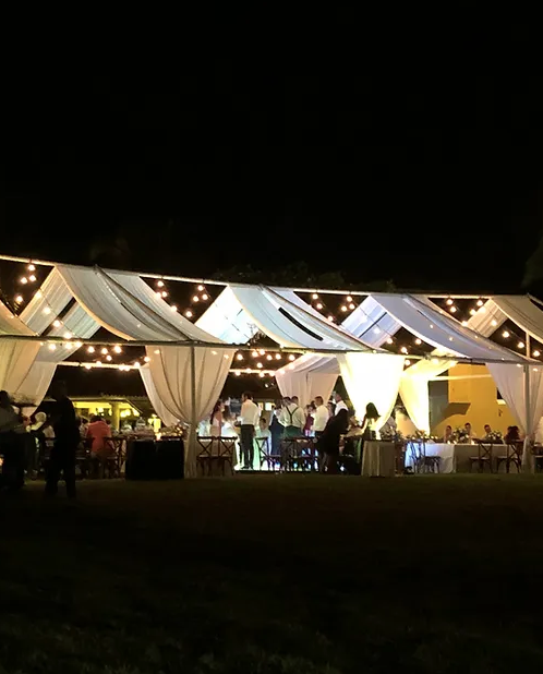 Descripción de la imagen 2